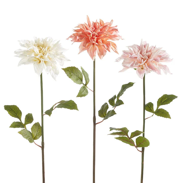 Real touch dahlia stems in white, peach and pale pink.