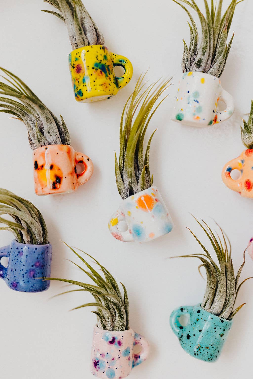 Mini Magnet Air Plant Mug