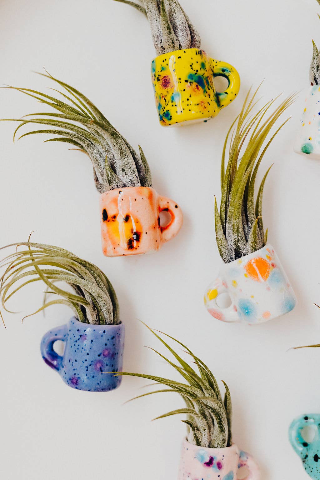 Mini Magnet Air Plant Mug