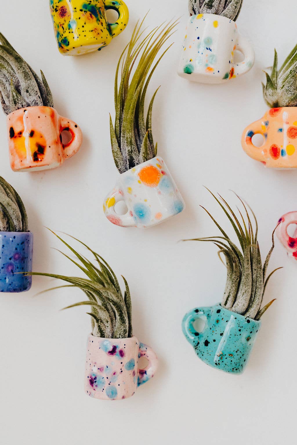 Mini Magnet Air Plant Mug