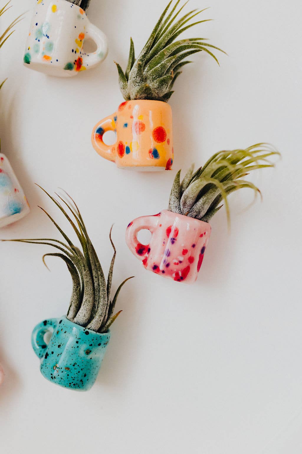 Mini Magnet Air Plant Mug