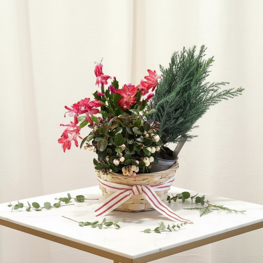 Holiday Plant Basket