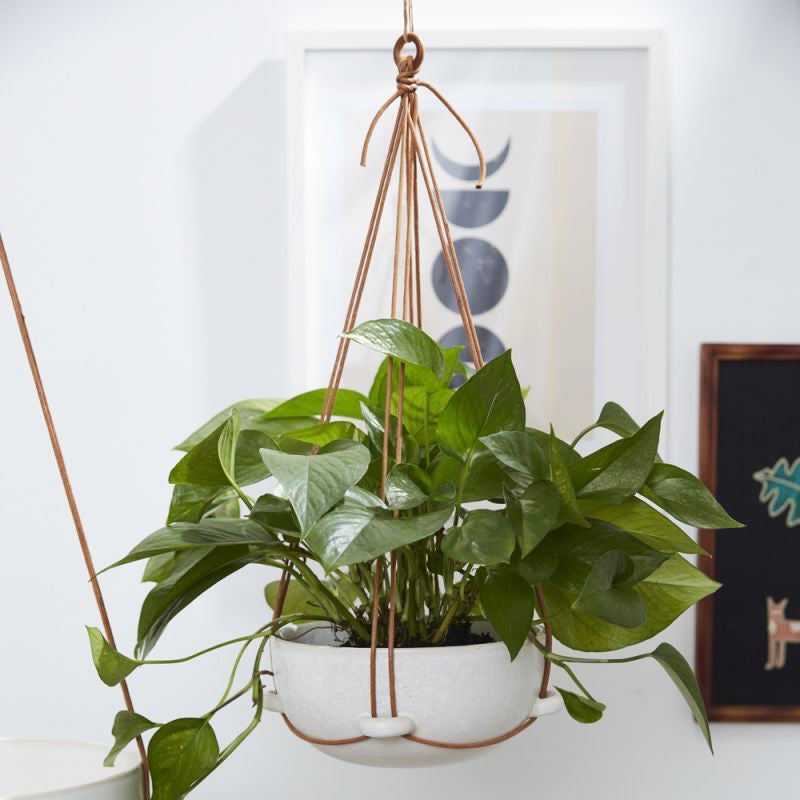 Redondo Hanging Pot