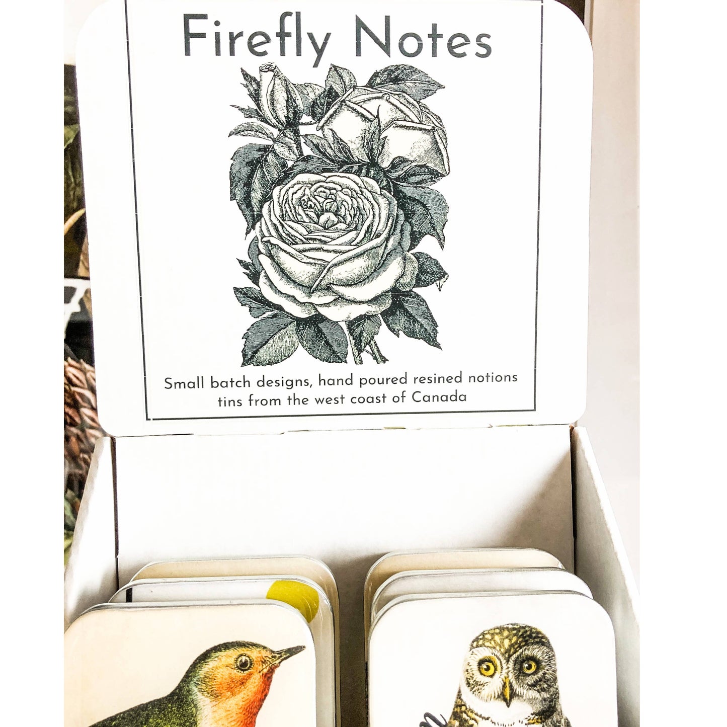 Large tin variety pack with cardboard display: Display box only