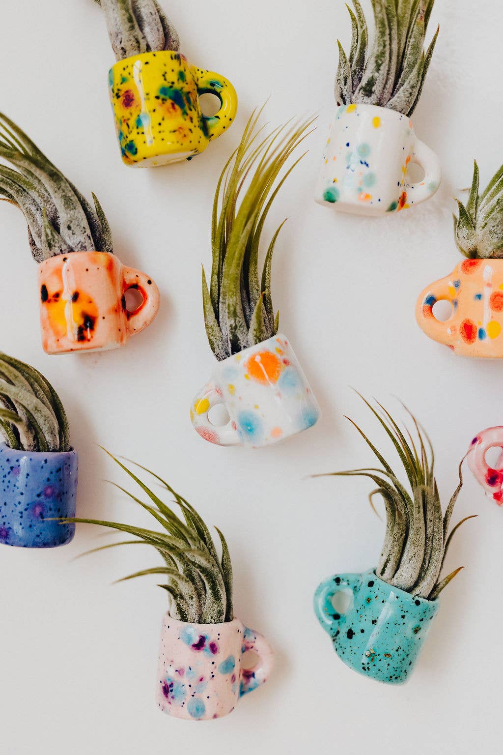 Mini Magnet Air Plant Mug