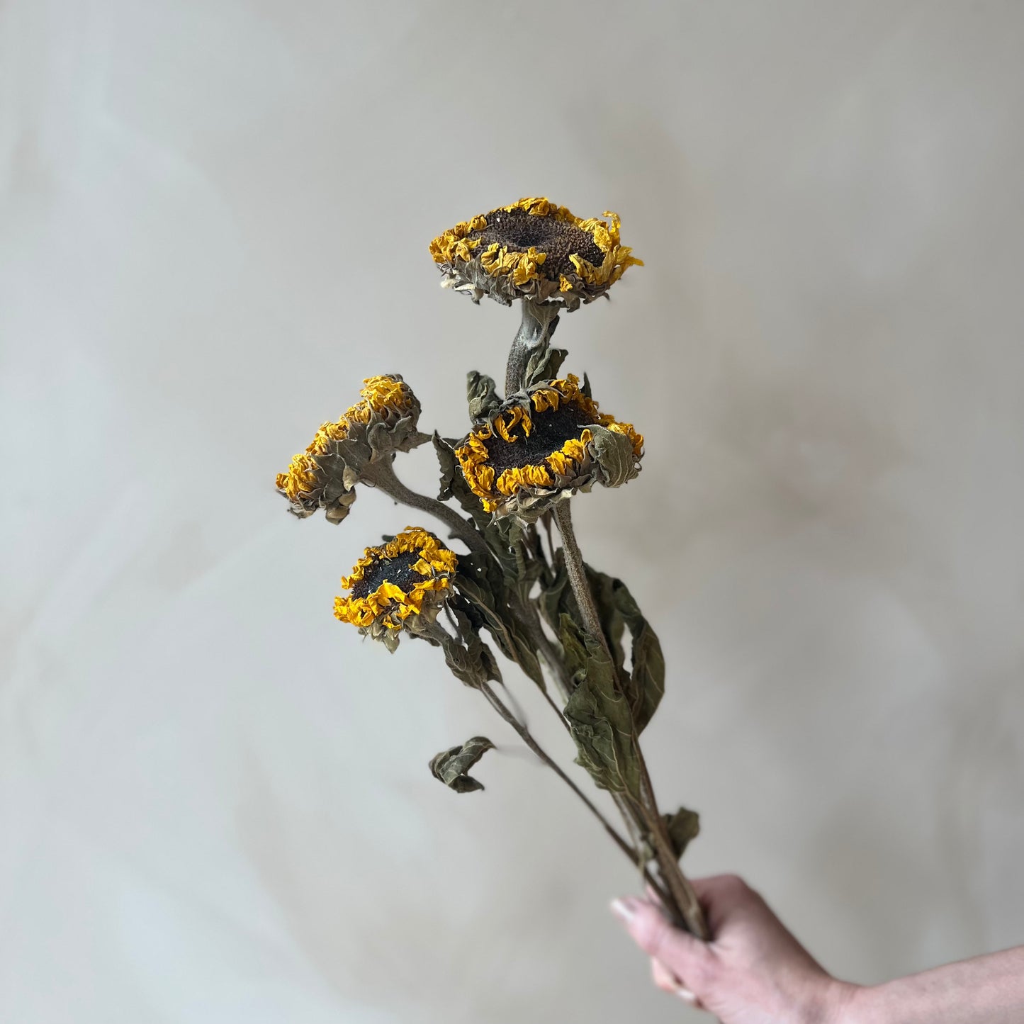 Dried Floral Bouquet
