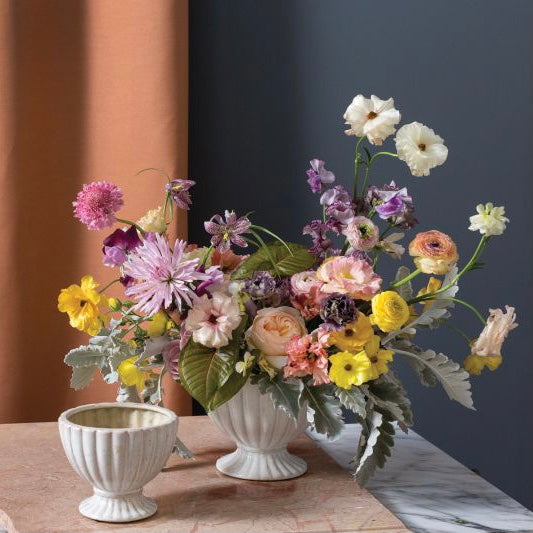 Coronation Compote