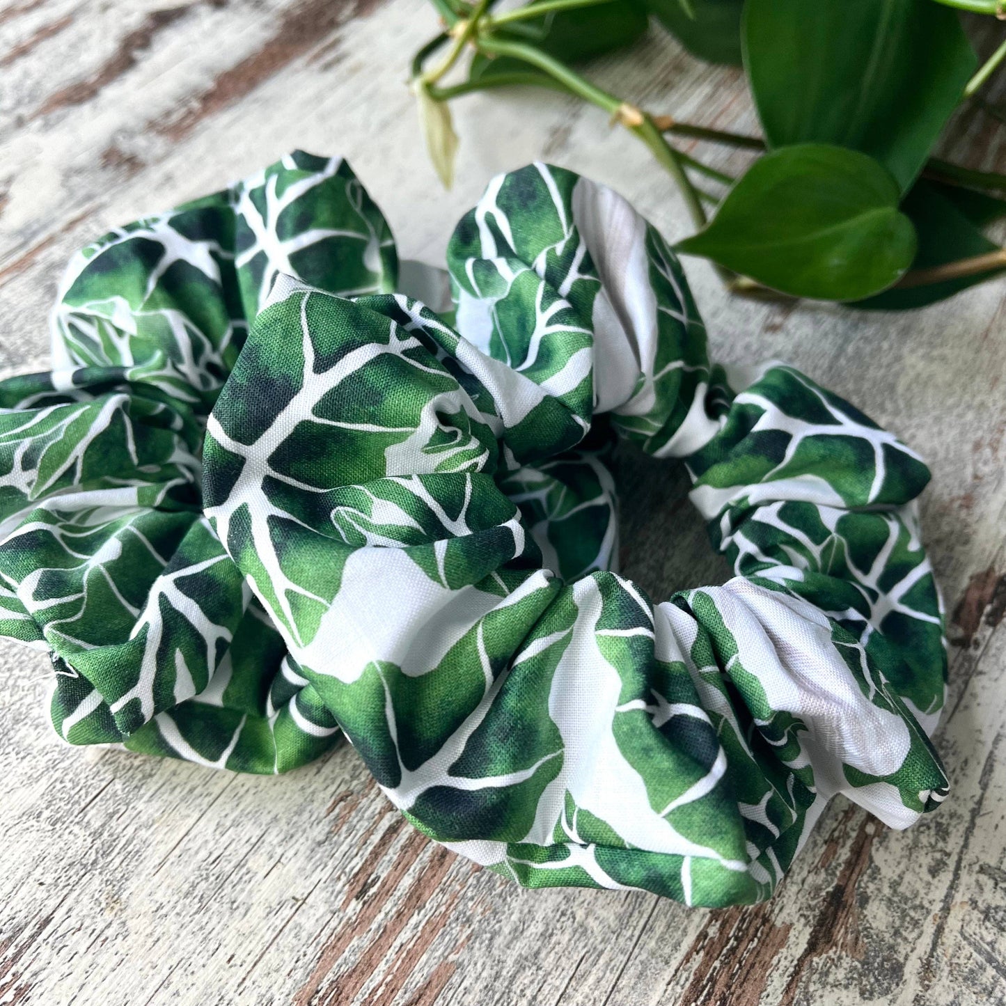 Scrunchie - Alocasia Frydek