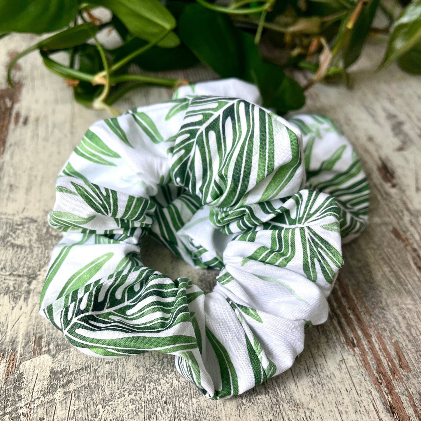 Scrunchie - Philodendron Radiatum, Watercolor Illustration
