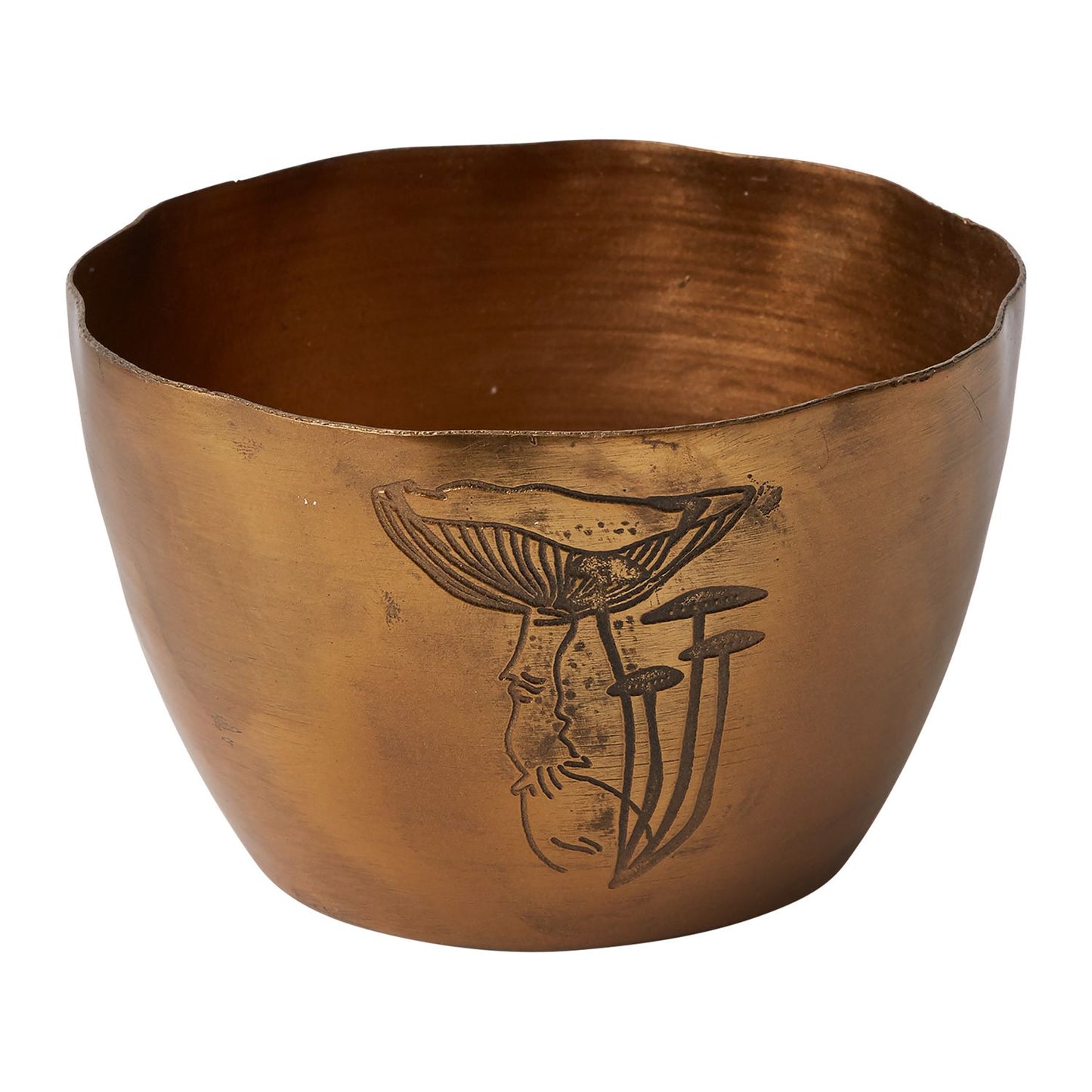 Portabello Bowl