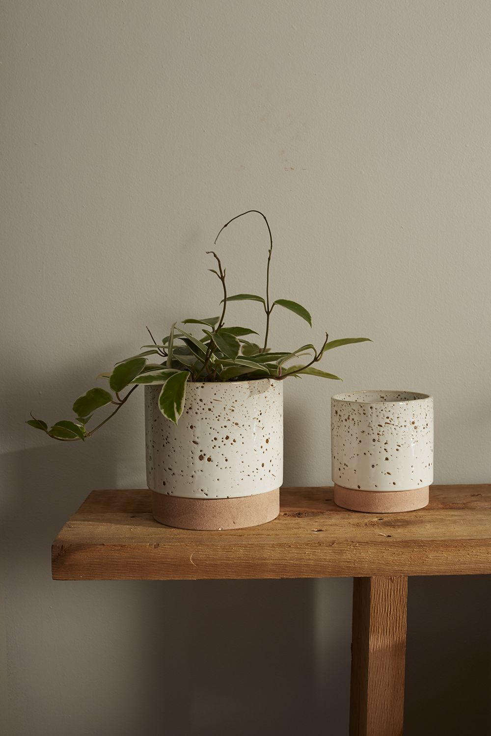 Briar Pot