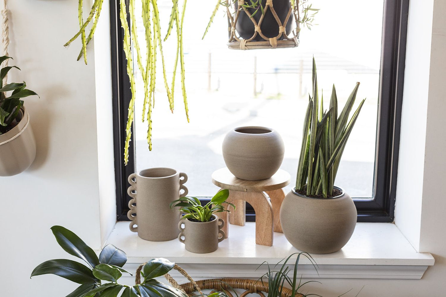 Cassia Pot