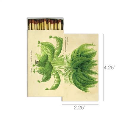 Matches - Ferns - Sepia Background - Brown