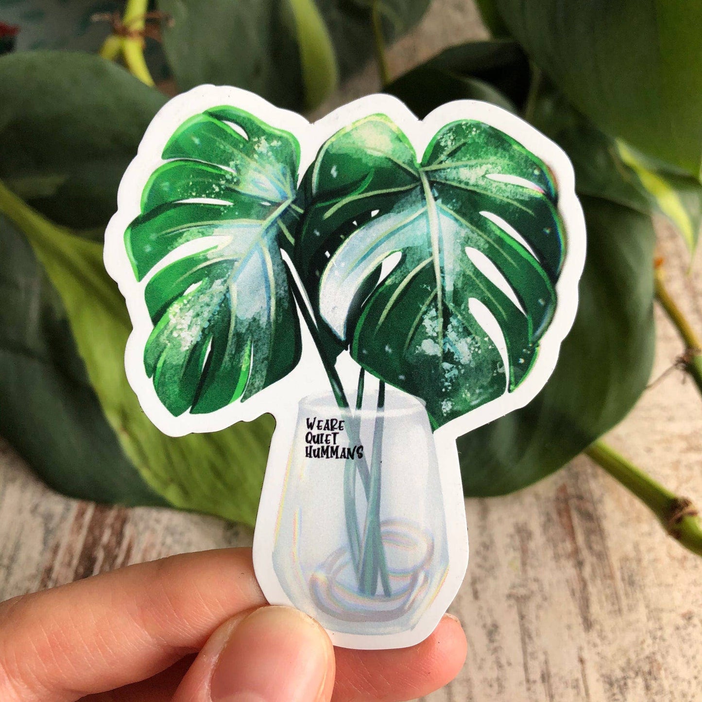 Magnet - Monstera variegata, Houseplant