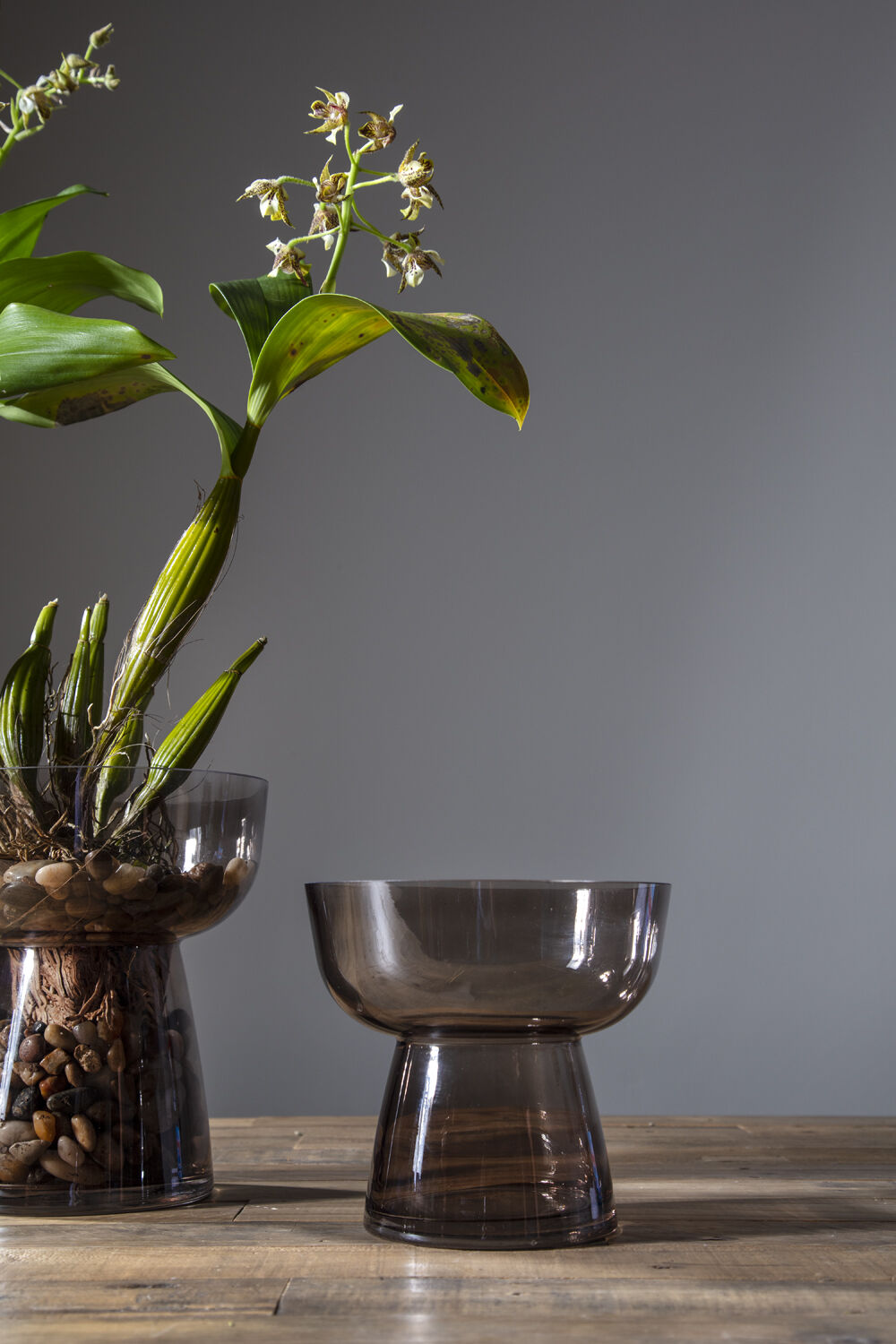 Small and large Noemi Vases in smoke grey displayed on a table with orchids.