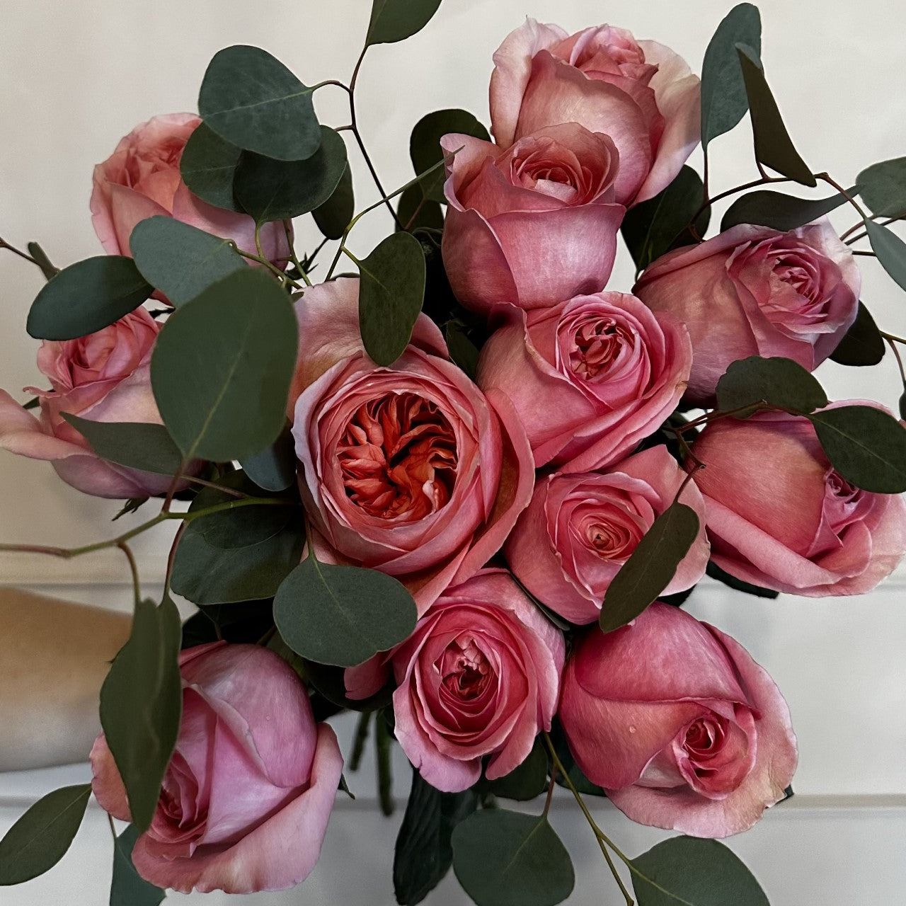 Dozen Roses - Pink