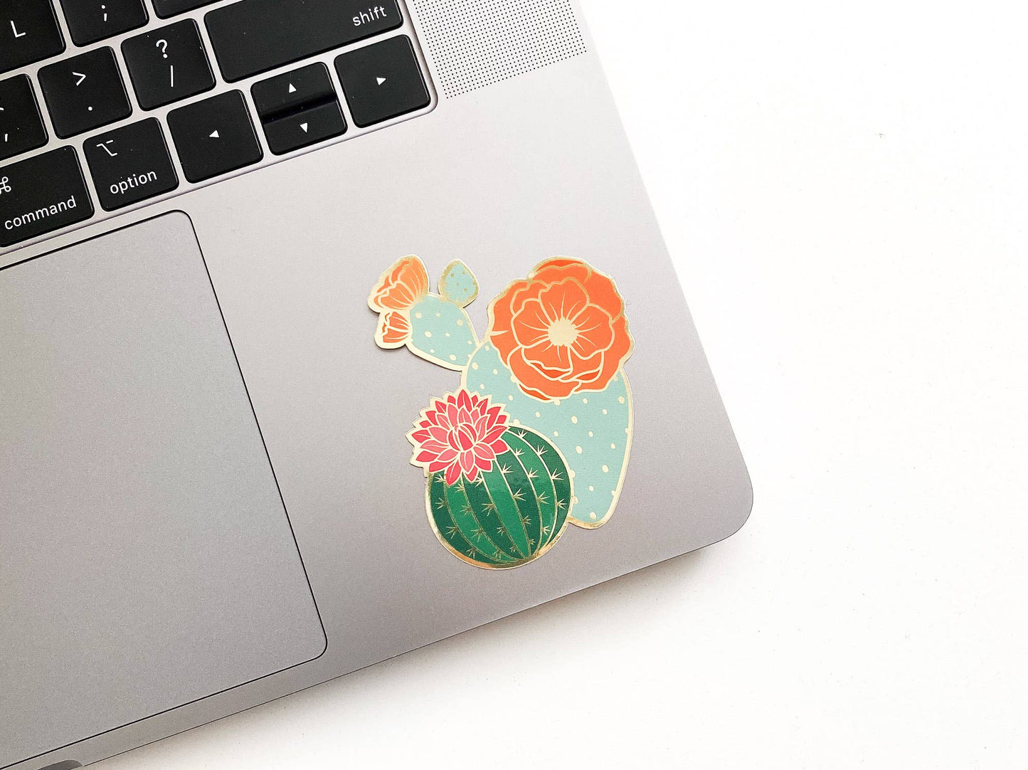 Blooming Cacti Sticker