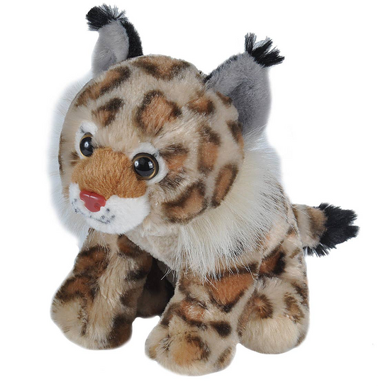 CK-Mini Bobcat Stuffed Animal 8"