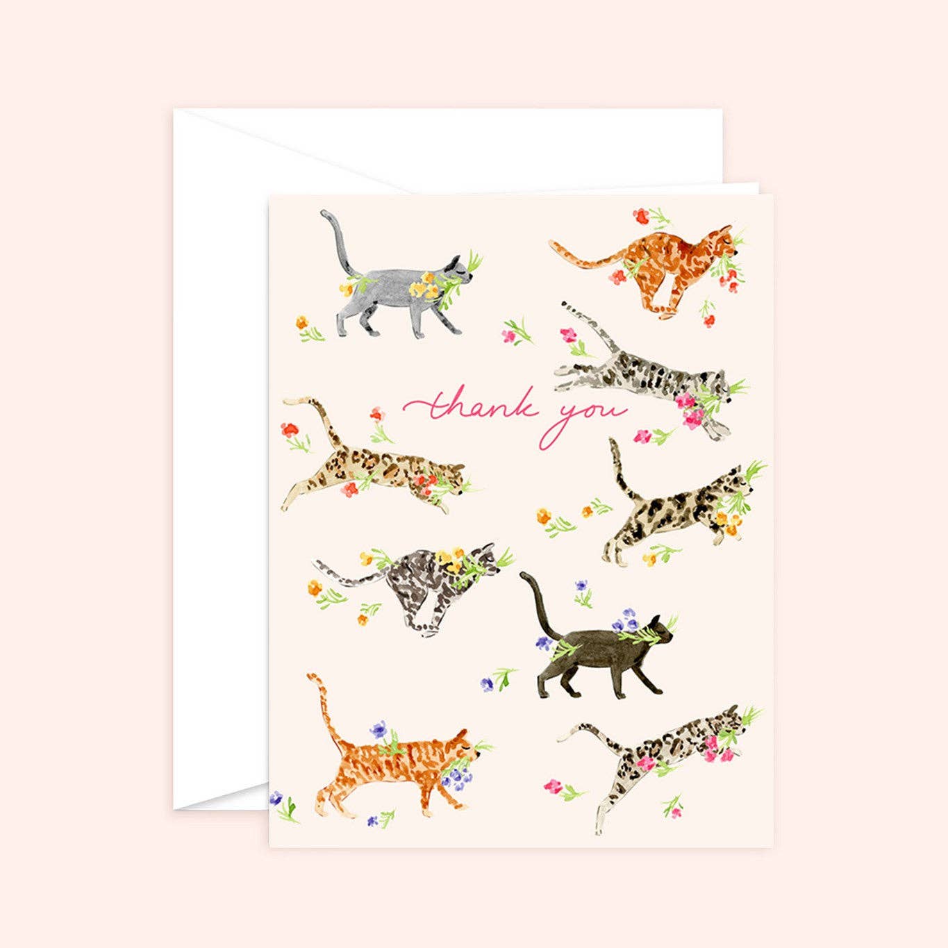 Thank you Cat Florals Card: White