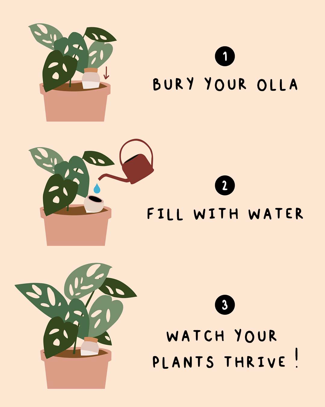 Hydrating Olla - Terracotta