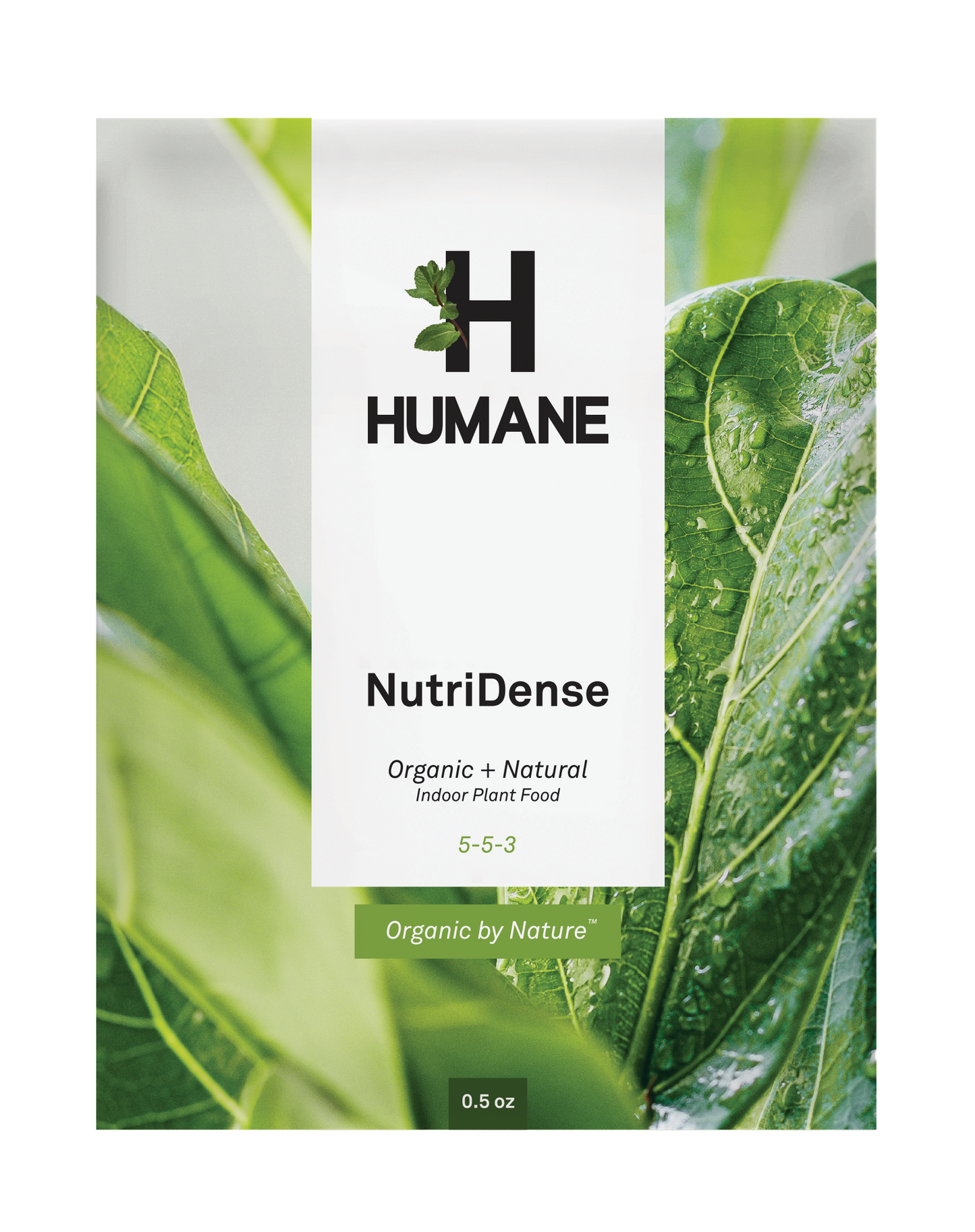 NutriDense Indoor Plant Food Single Serve Envelope