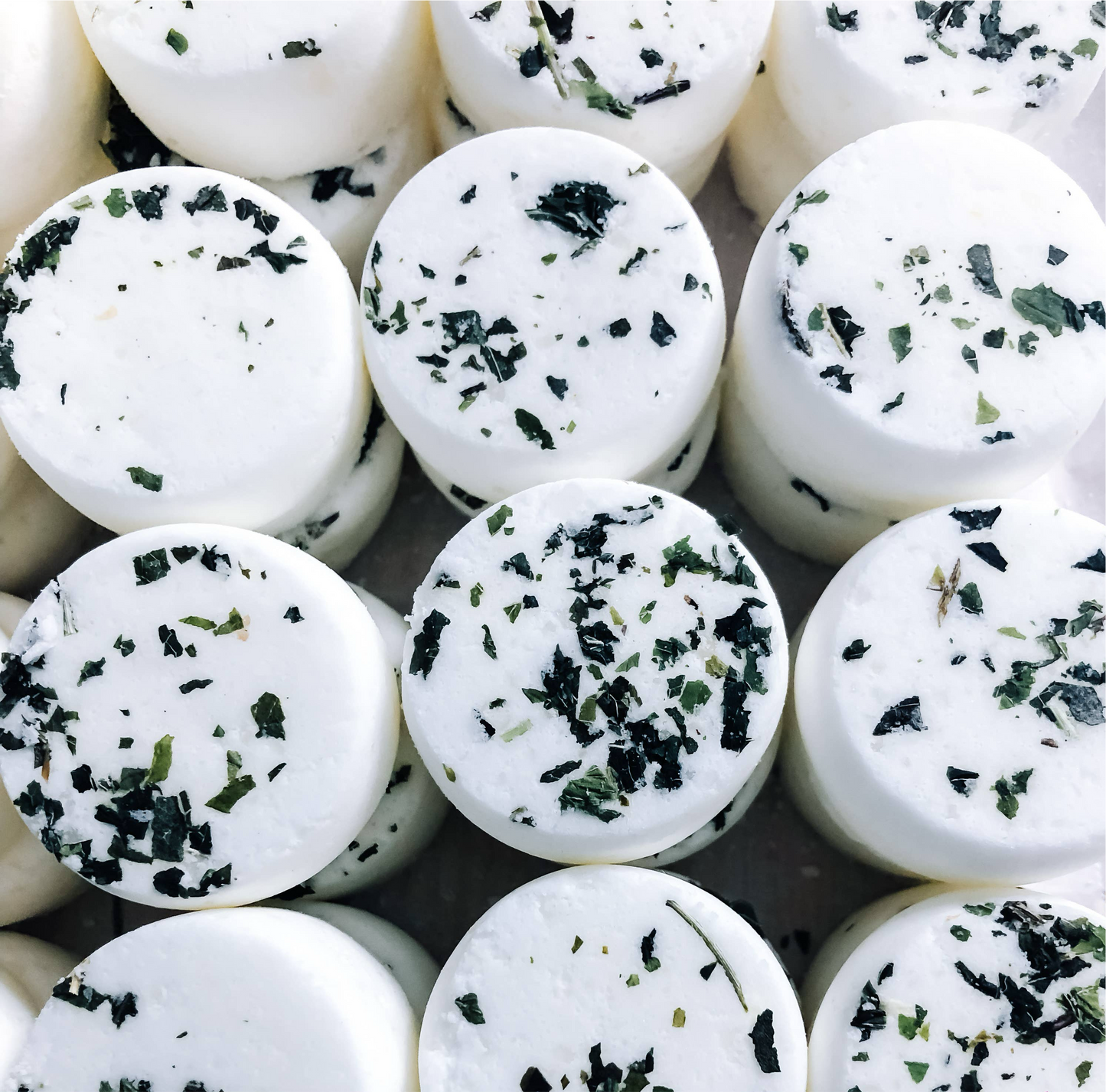 Eucalyptus & Mint Shower Steamers