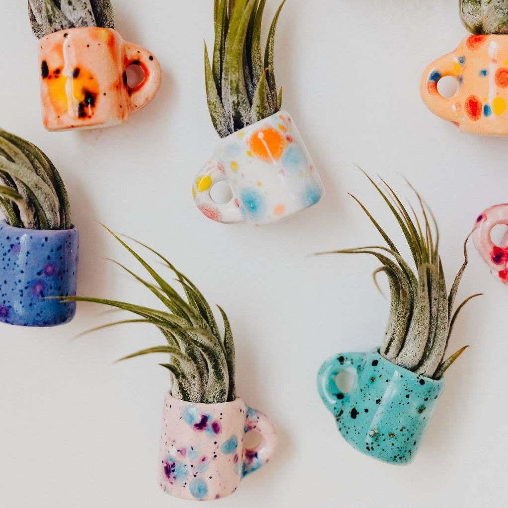 Mini Magnet Air Plant Mug
