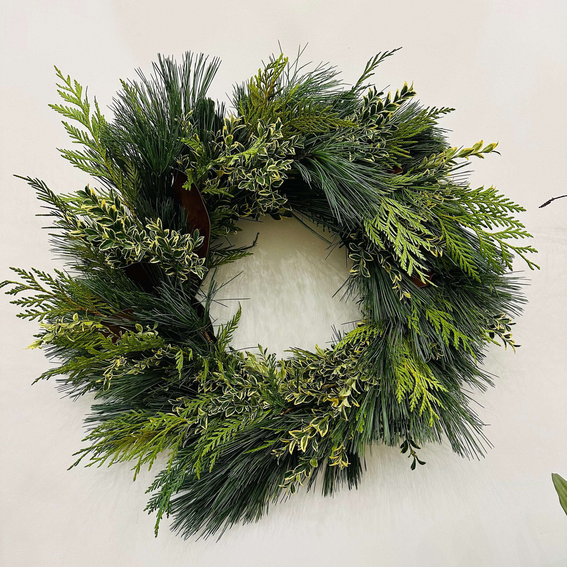 A  16" fresh greens wreath with a variety of green leaves arranged in a circular form.