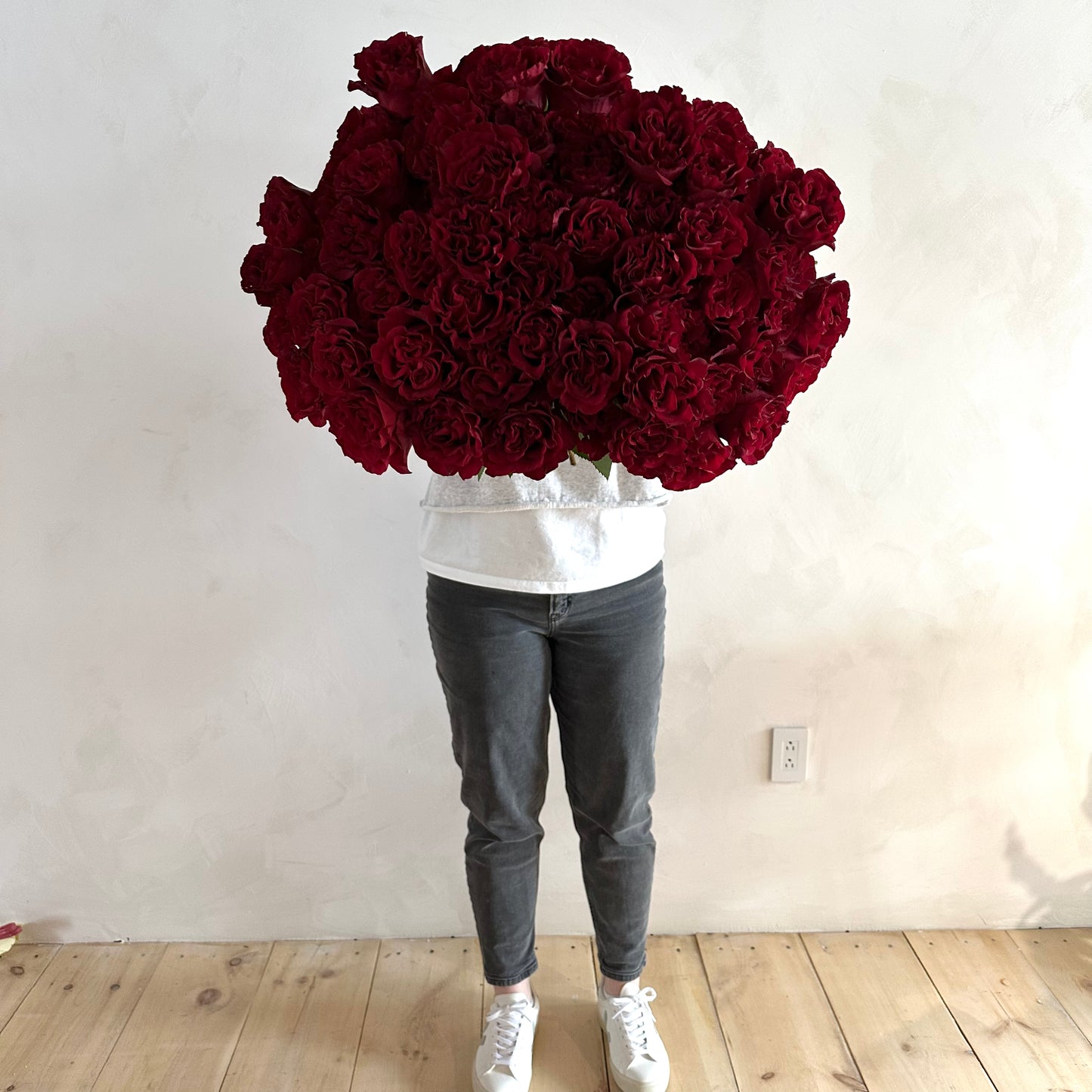Dozen Roses - Red