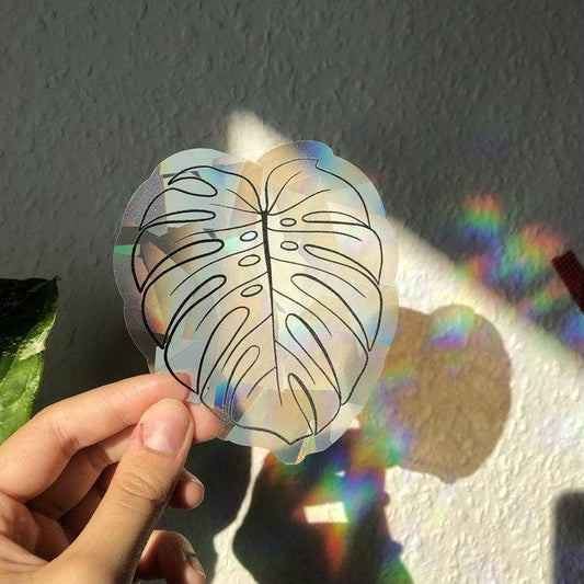 Sun Catcher Sticker - Monstera deliciosa