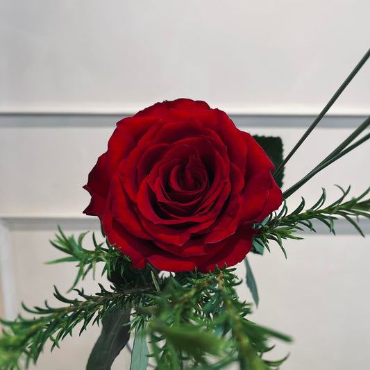 Single Stem Red Rose